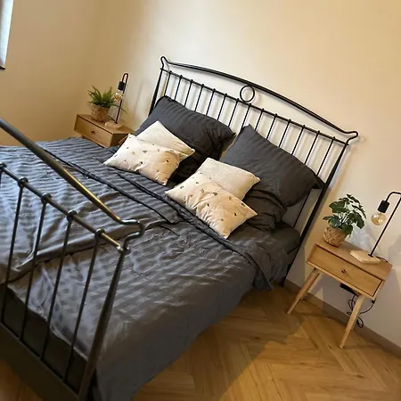Appartement Wunderschoenes Wohlfuehlapartment Friedrichshafen